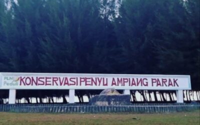 Desa wisata Ampiang Parak